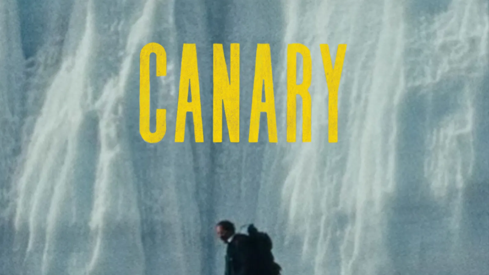 Canary Flyer 1