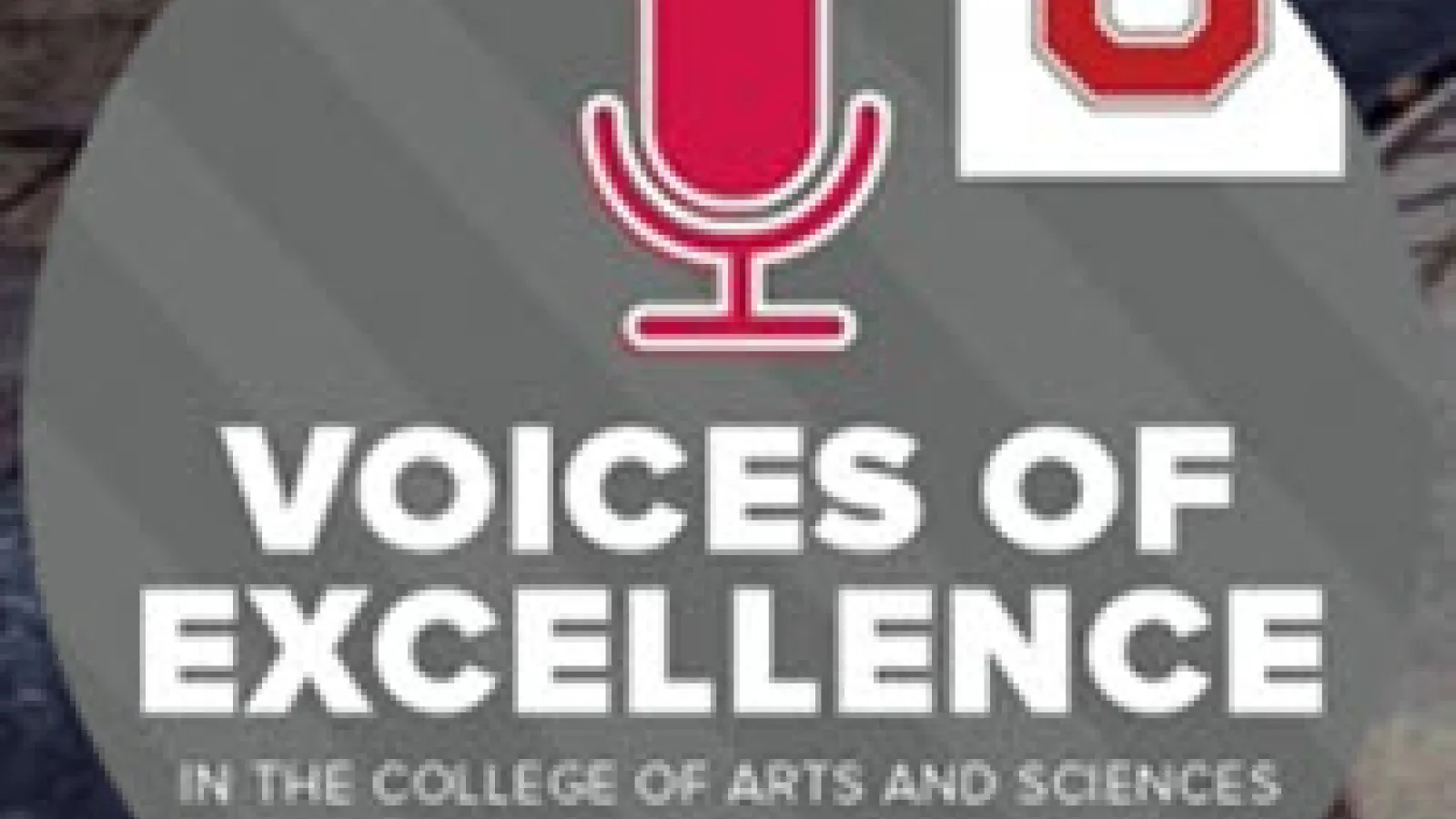Voices of Excellence