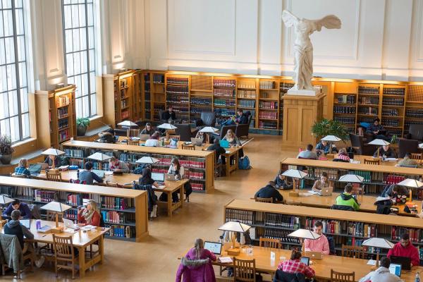 Students studying in library Students studying in library