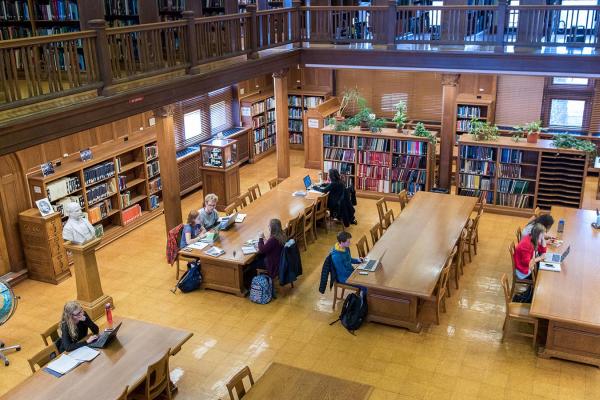Students studying in library Students studying in library